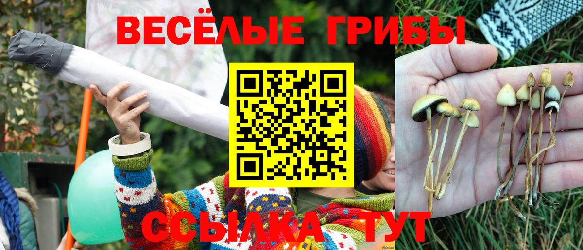 Галлюциногенные грибы Magic Shrooms  Вход с VPN  Серпухов 
